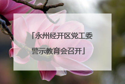 永州经开区党工委警示教育会召开