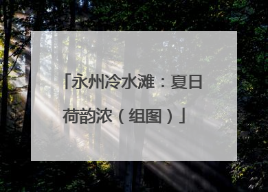 永州冷水滩:夏日荷韵浓(组图)