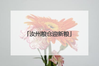 汝州粮仓迎新粮