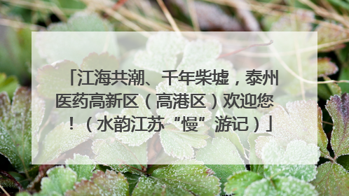 江海共潮、千年柴墟，泰州医药高新区（高港区）欢迎您！（水韵江苏“慢”游记）