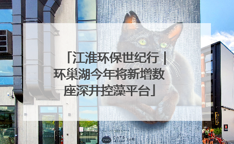 江淮环保世纪行｜环巢湖今年将新增数座深井控藻平台