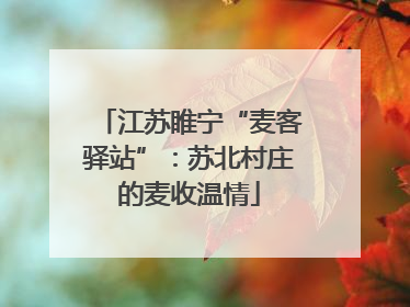 江苏睢宁“麦客驿站”：苏北村庄的麦收温情
