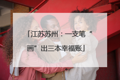 江苏苏州：一支笔“画”出三本幸福账