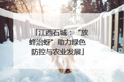 江西石城：“放蜂治蚜”助力绿色防控与农业发展