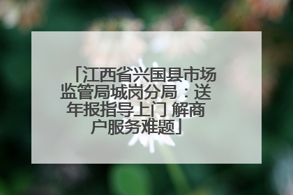 江西省兴国县市场监管局城岗分局：送年报指导上门 解商户服务难题