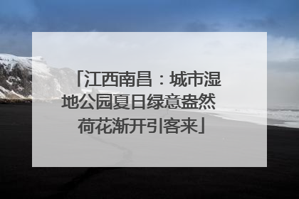江西南昌：城市湿地公园夏日绿意盎然 荷花渐开引客来