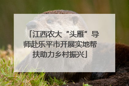 江西农大“头雁”导师赴乐平市开展实地帮扶助力乡村振兴