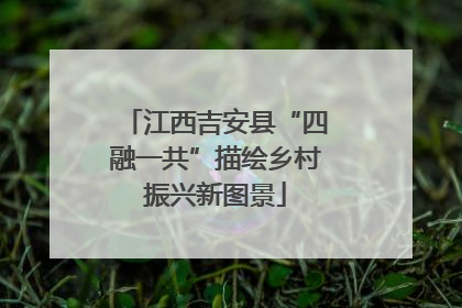 江西吉安县“四融一共”描绘乡村振兴新图景