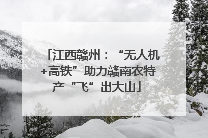 江西赣州：“无人机+高铁”助力赣南农特产“飞”出大山