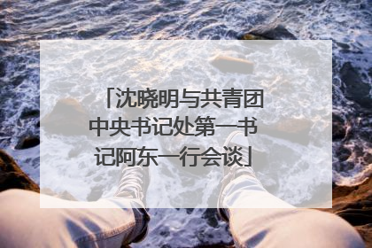 沈晓明与共青团中央书记处第一书记阿东一行会谈