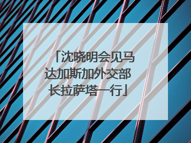 沈晓明会见马达加斯加外交部长拉萨塔一行