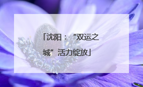 沈阳：“双运之城”活力绽放