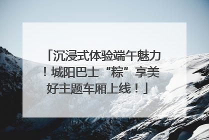 沉浸式体验端午魅力！城阳巴士“粽”享美好主题车厢上线！