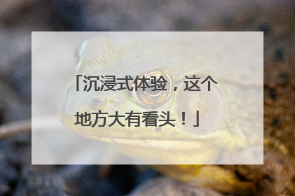 沉浸式体验，这个地方大有看头！