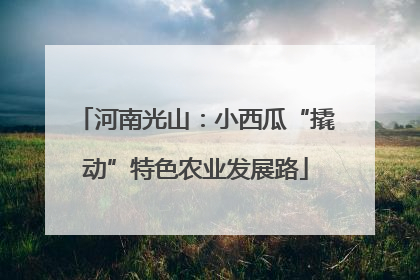 河南光山：小西瓜“撬动”特色农业发展路
