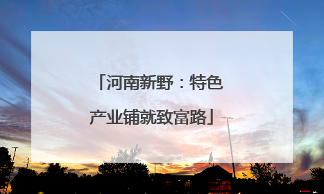 河南新野：特色产业铺就致富路