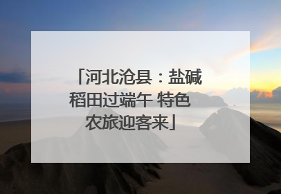 河北沧县：盐碱稻田过端午 特色农旅迎客来