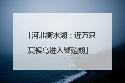 河北衡水湖：近万只夏候鸟进入繁殖期