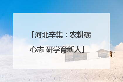 河北辛集：农耕砺心志 研学育新人