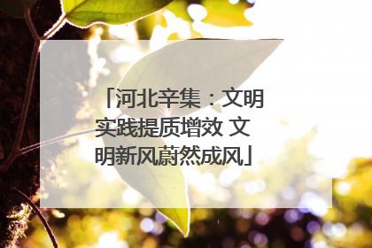 河北辛集：文明实践提质增效 文明新风蔚然成风