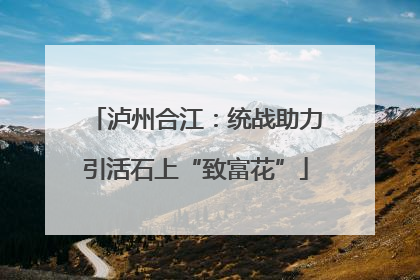 泸州合江：统战助力引活石上“致富花”