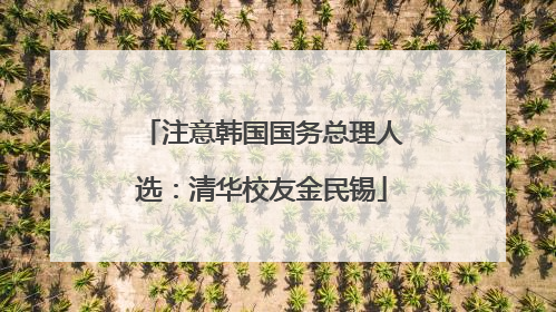 注意韩国国务总理人选：清华校友金民锡