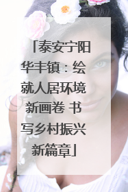 泰安宁阳华丰镇：绘就人居环境新画卷 书写乡村振兴新篇章