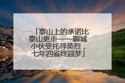 泰山上的承诺比泰山更重——聊城小伙受托寻英烈，七年四省终圆梦