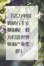 活力中国调研行丨安徽铜陵：着力打造世界级铜产业集群