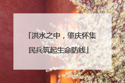 洪水之中，肇庆怀集民兵筑起生命防线