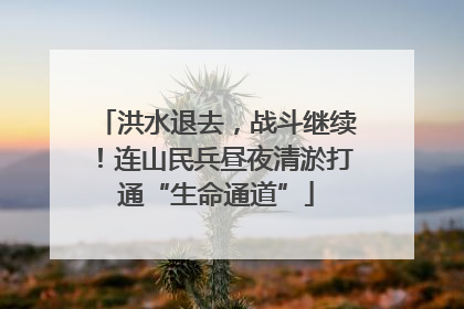洪水退去，战斗继续！连山民兵昼夜清淤打通“生命通道”