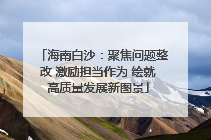 海南白沙：聚焦问题整改 激励担当作为 绘就高质量发展新图景