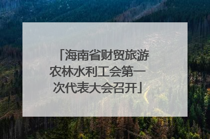 海南省财贸旅游农林水利工会第一次代表大会召开