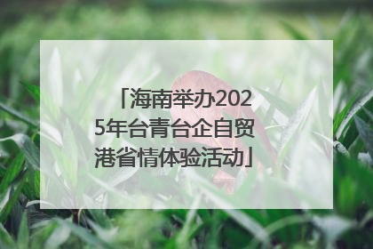 海南举办2025年台青台企自贸港省情体验活动