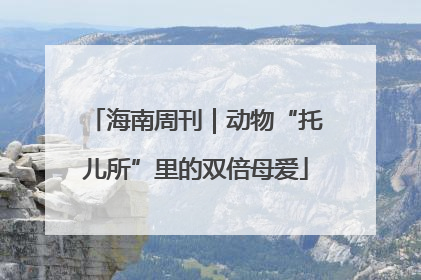 海南周刊｜动物“托儿所”里的双倍母爱