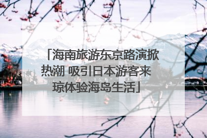 海南旅游东京路演掀热潮 吸引日本游客来琼体验海岛生活