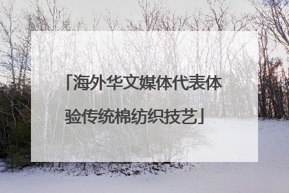海外华文媒体代表体验传统棉纺织技艺