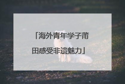 海外青年学子莆田感受非遗魅力