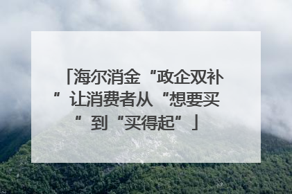 海尔消金“政企双补”让消费者从“想要买”到“买得起”