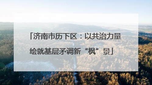 济南市历下区：以共治力量绘就基层矛调新“枫”景