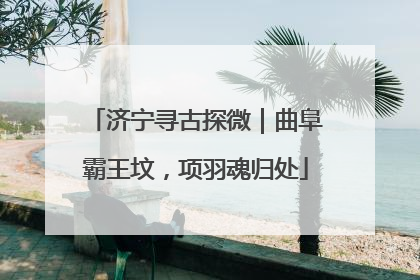 济宁寻古探微｜曲阜霸王坟，项羽魂归处