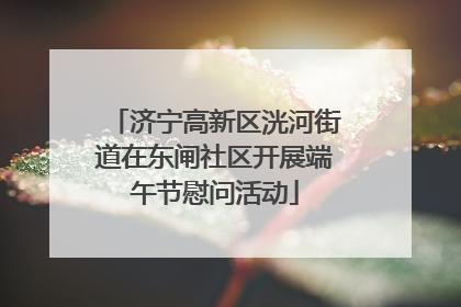 济宁高新区洸河街道在东闸社区开展端午节慰问活动