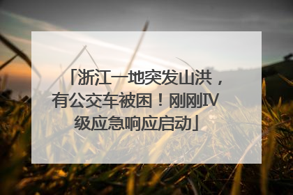 浙江一地突发山洪，有公交车被困！刚刚Ⅳ级应急响应启动