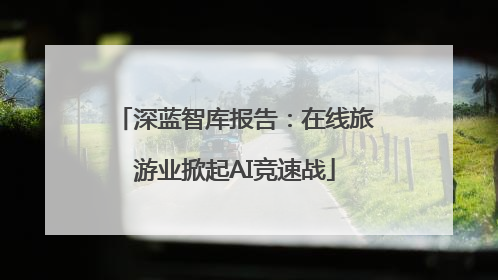 深蓝智库报告：在线旅游业掀起AI竞速战