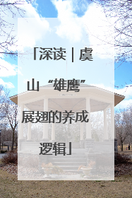 深读｜虞山“雄鹰”展翅的养成逻辑