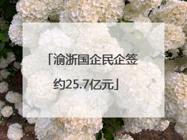 渝浙国企民企签约25.7亿元