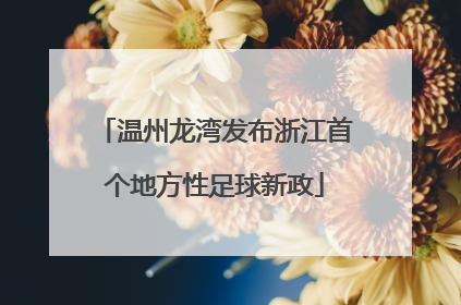 温州龙湾发布浙江首个地方性足球新政