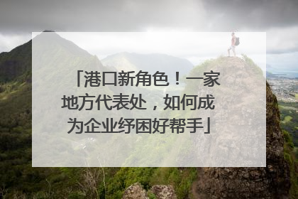 港口新角色！一家地方代表处，如何成为企业纾困好帮手