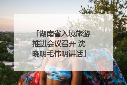 湖南省入境旅游推进会议召开 沈晓明毛伟明讲话