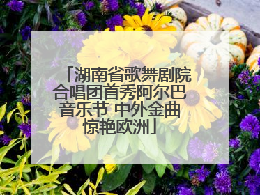 湖南省歌舞剧院合唱团首秀阿尔巴音乐节 中外金曲惊艳欧洲